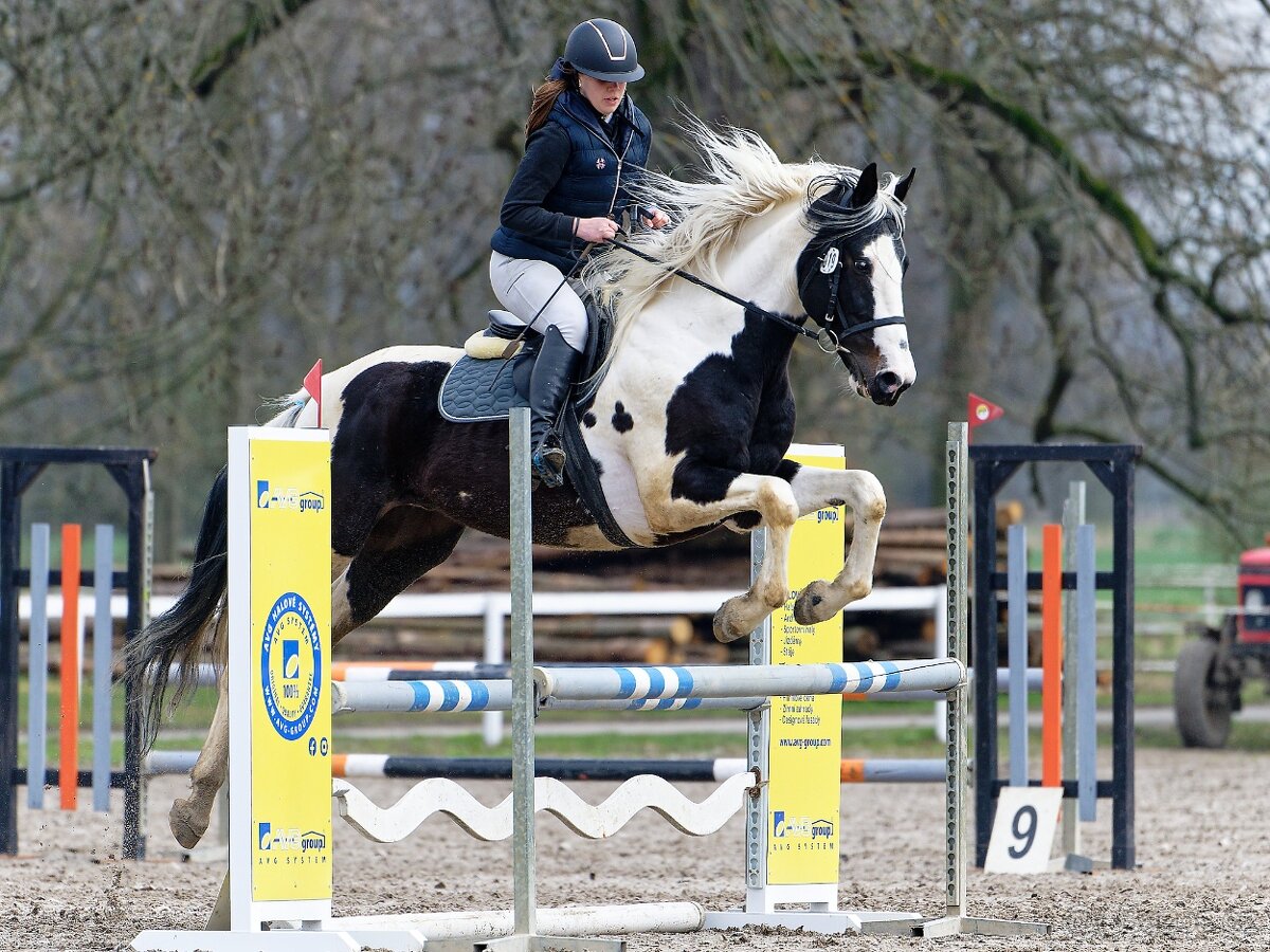 Deros Verona - Pardubicko - 4