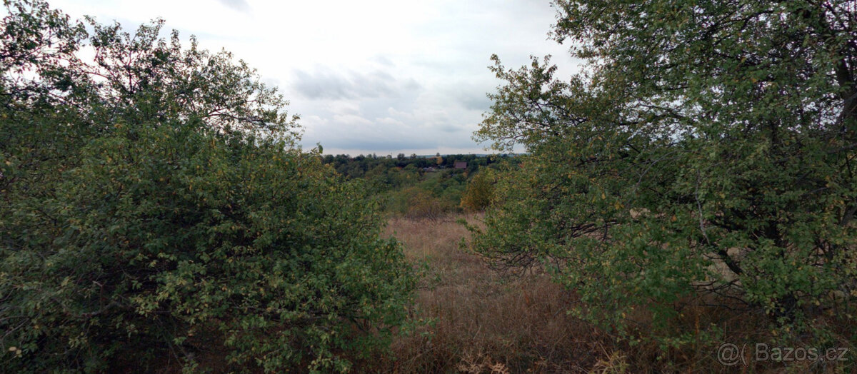 Dolní Kounice (1 406 m2) - 4