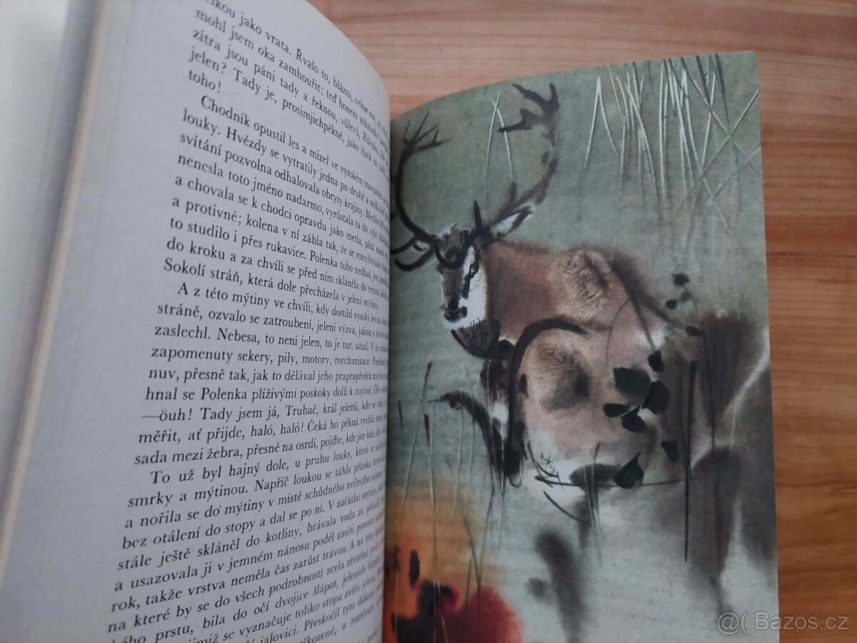 Jaromír Tomeček - Smaragdové stopy, ilustrace Mirko Hanák - 4