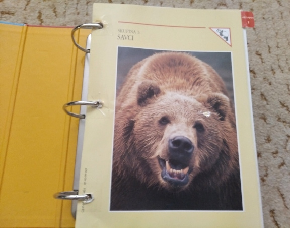 Encyklopedie zvířat 3 svazky - 4