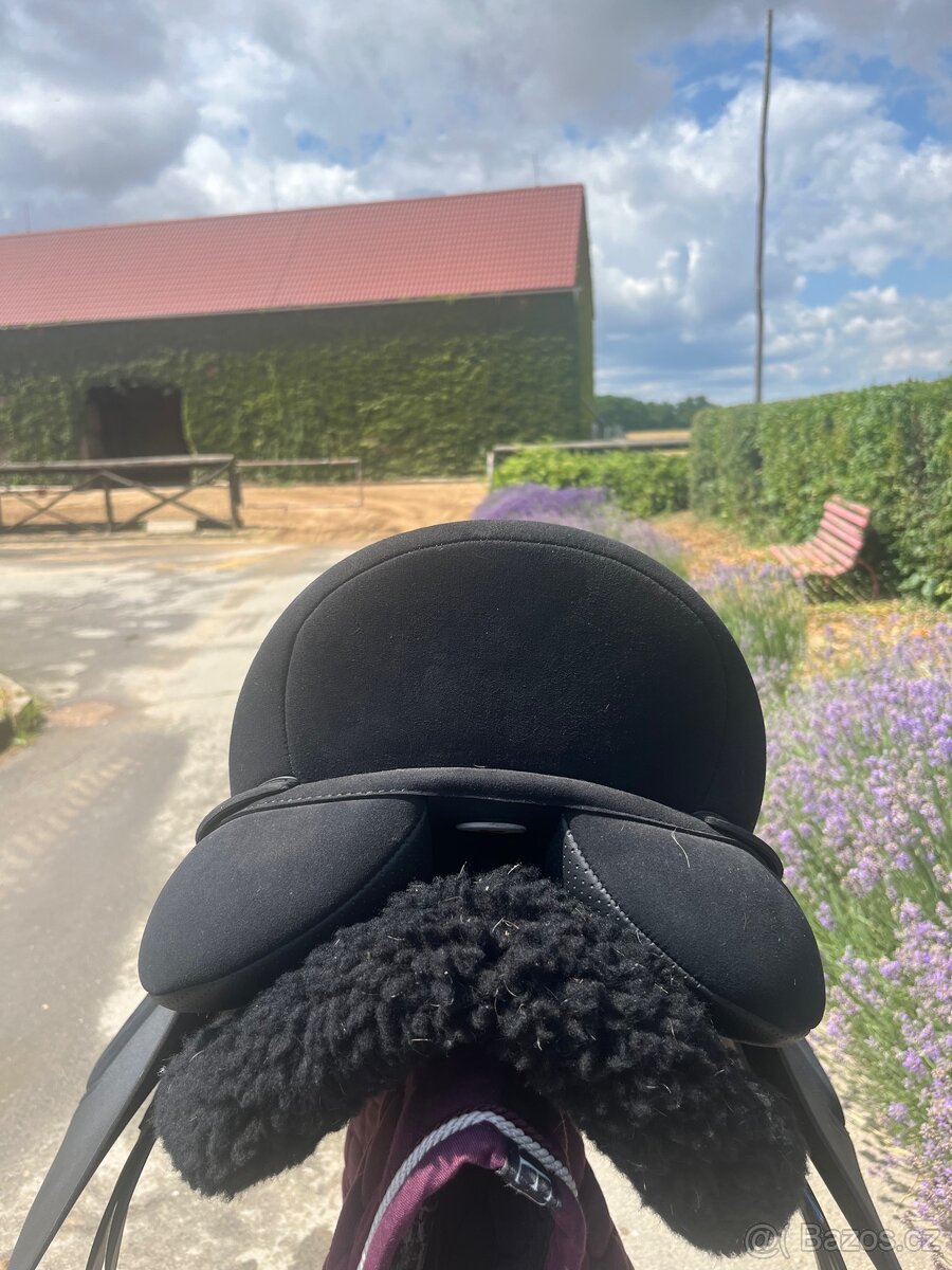 SEDLO WINTEC 2000 AP High Wither - 4