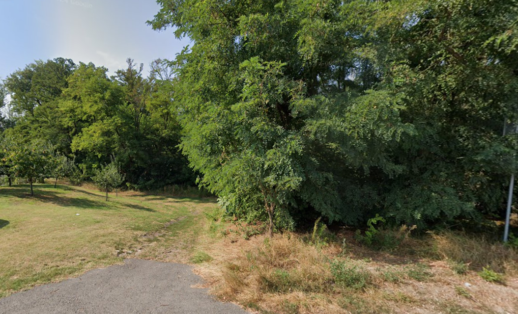 Prodej/výměna lesa - 4