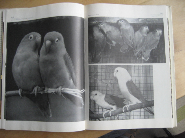 Príručka pre chovatelou vtáctva - 4