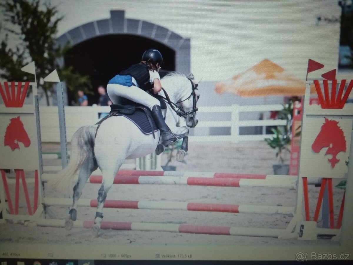 PONY kožená ohlávka, podsedlovky, bederka - 4