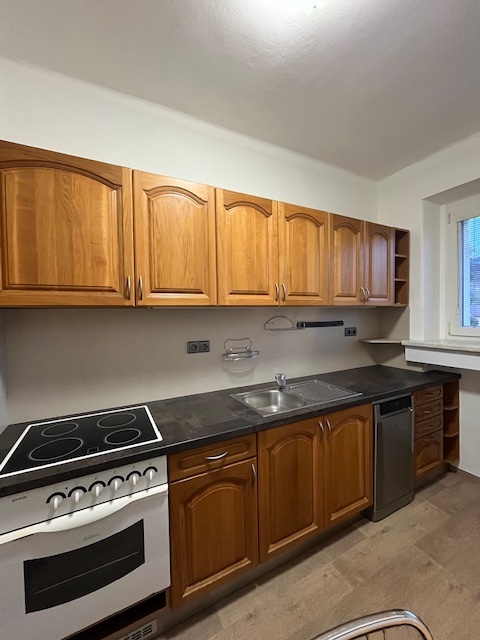 Pronájem bytu 3+1 Vizovice - 4