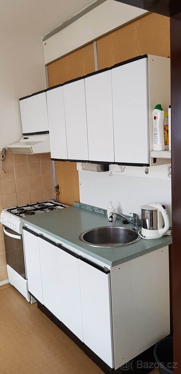 Prodej bytu 2+1, 44 m², Dv. okruh Krnov - 4