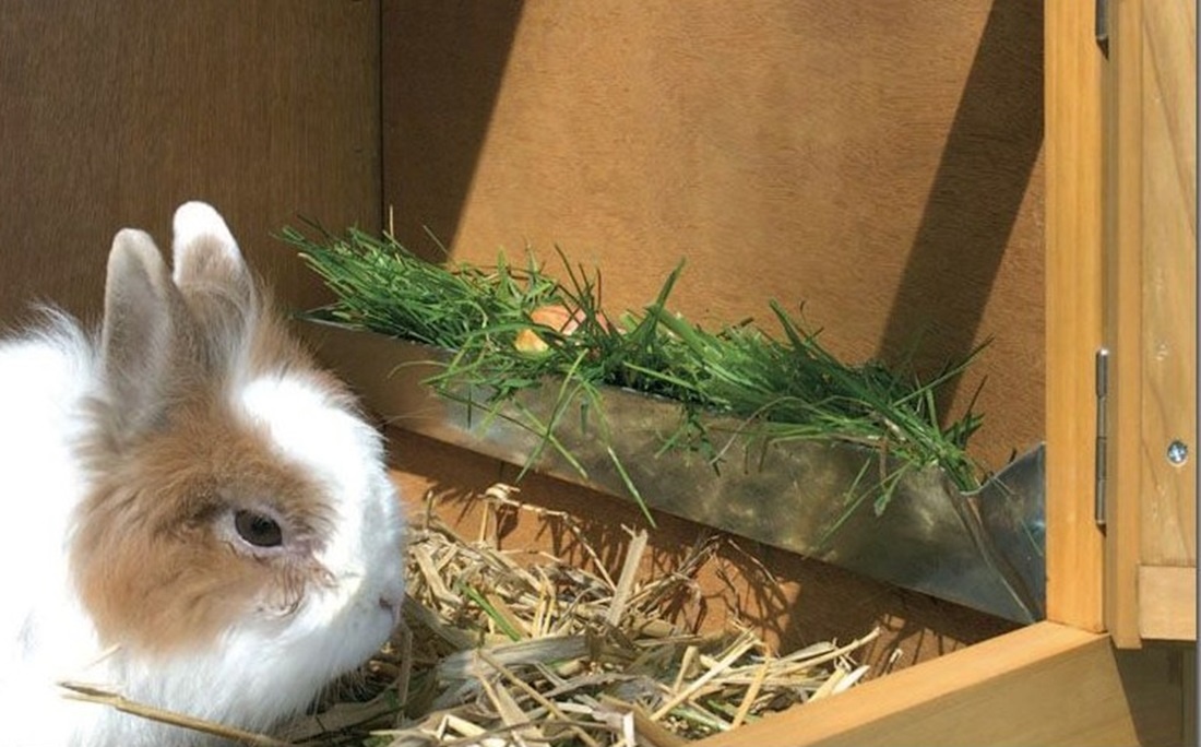 Výroba dřevěná králíkárna,králikárna,klec pro králíky,116cm. - 4