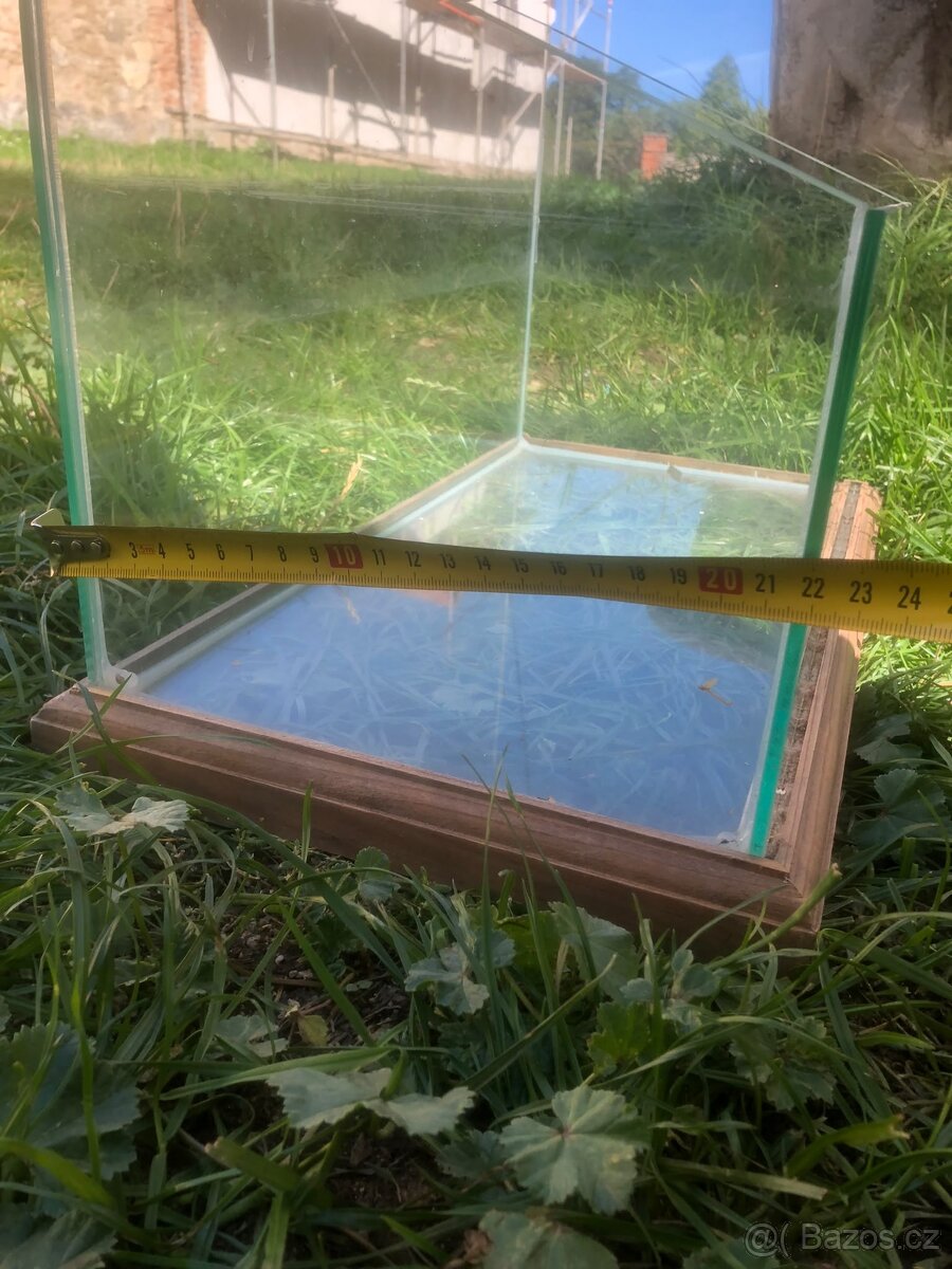 Terarium - 4