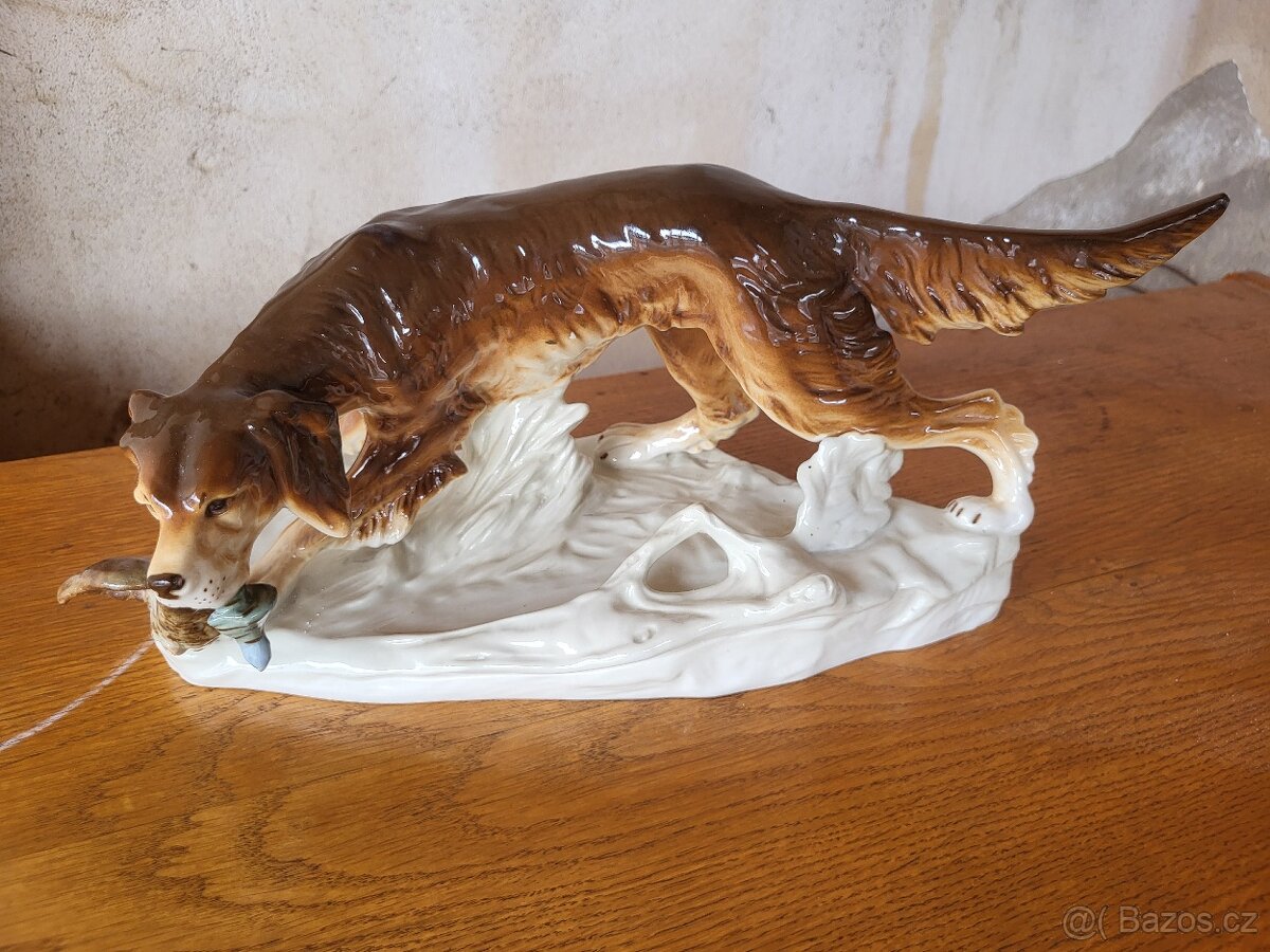 Lovecký pes Royal - Dux - 4