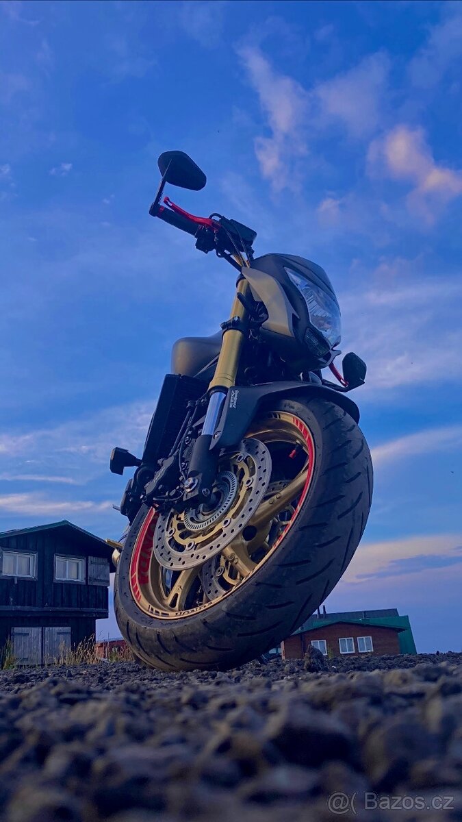 Honda CB600FA Hornet 75 KW 2012 - 4