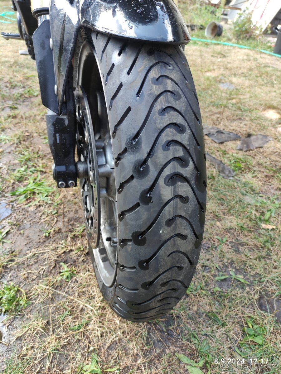 Triumph Tiger 1050 ABS 2007 - 4