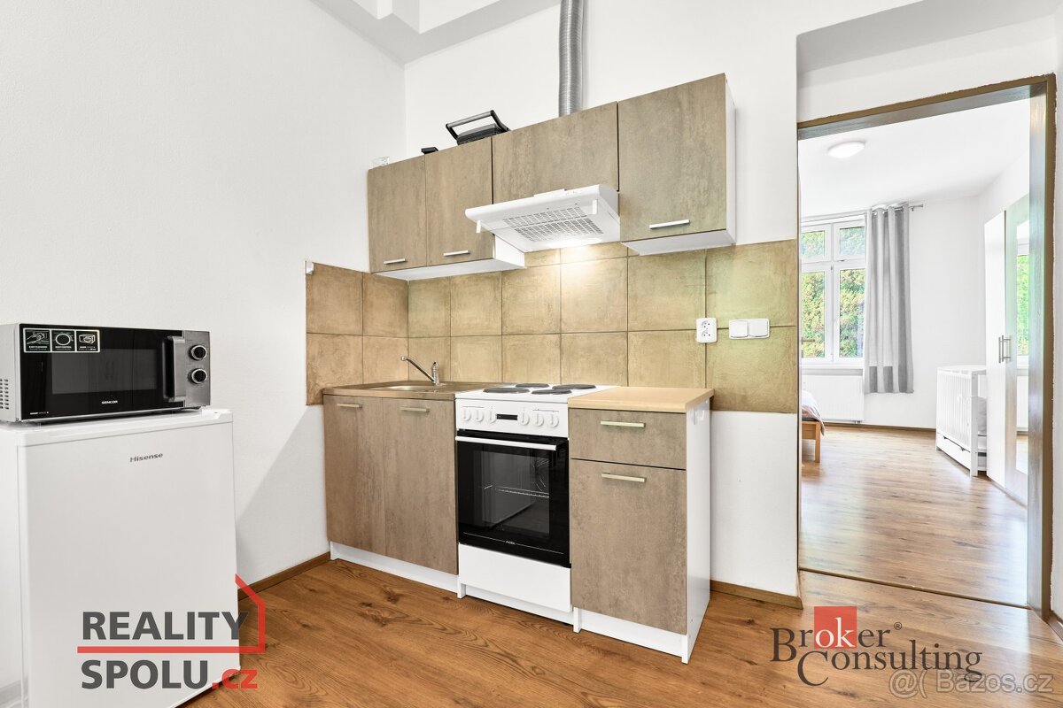 Prodej, byty/1+1, 43 m2, třída Dukelských hrdinů 334, 36251 - 4