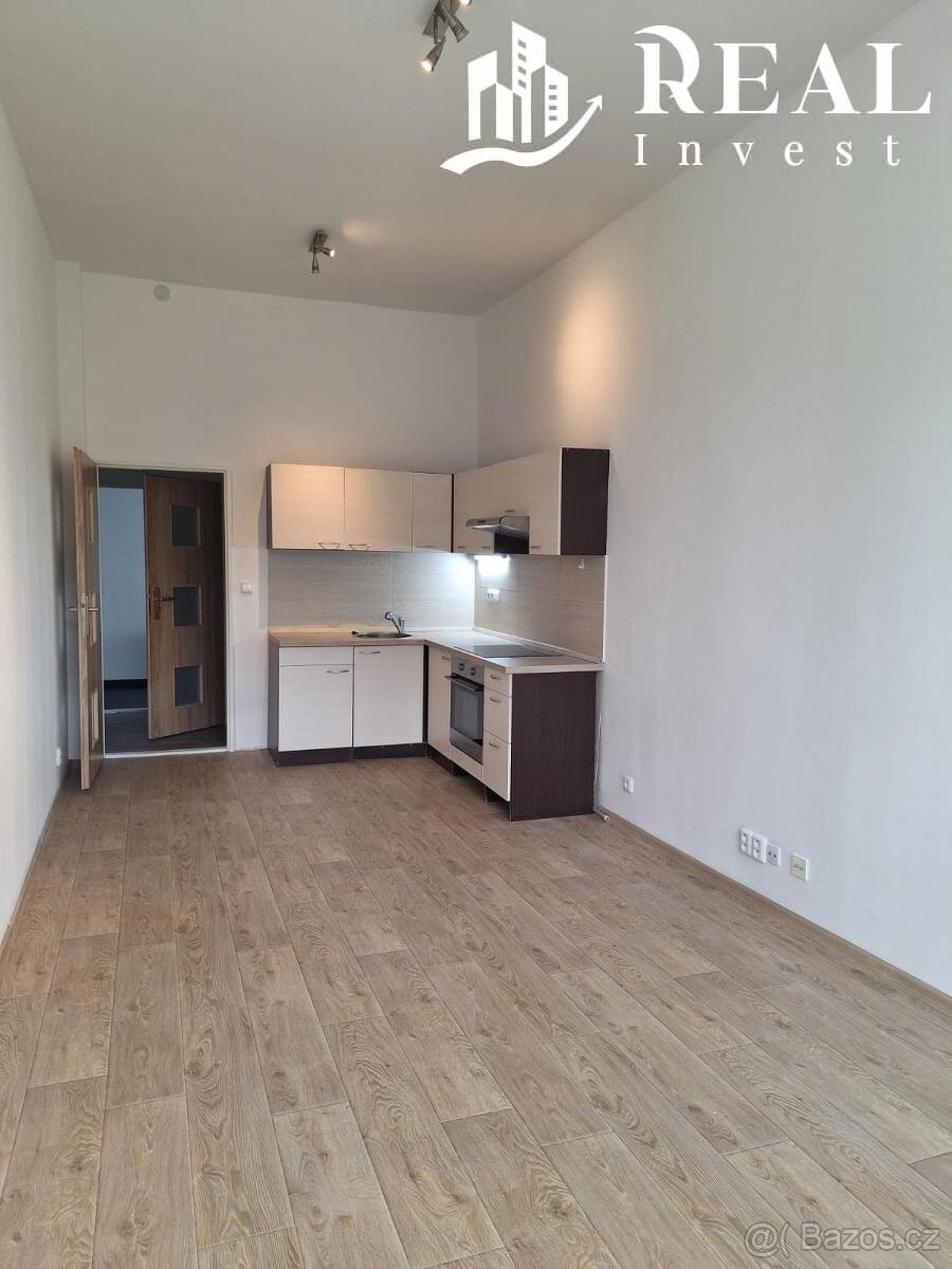 Pronájem, byt 1kk, 30m2, ul. Nám. 8. května, Meziboří - 4