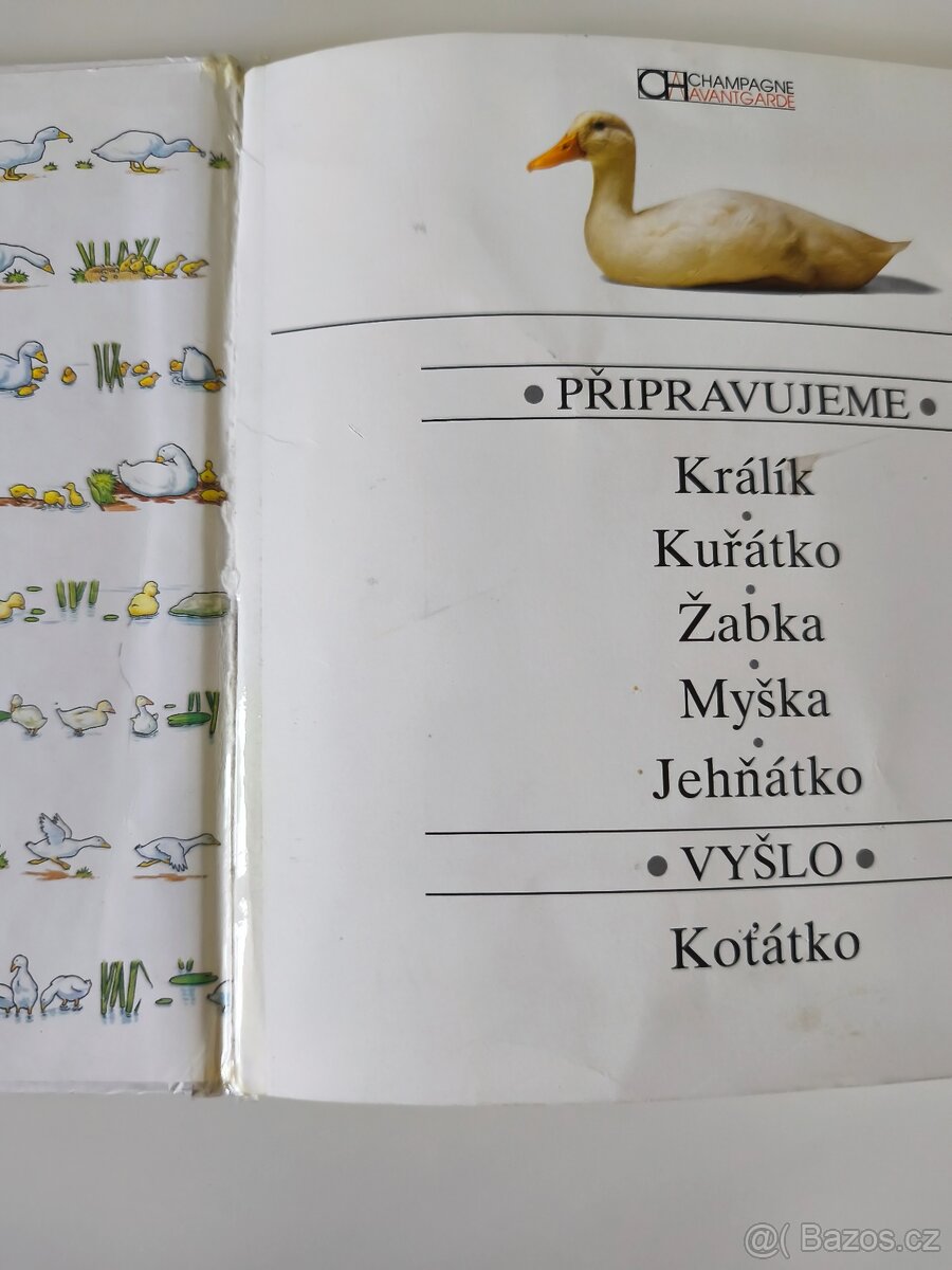 Kachňátko – podívej jak rostou, naučná knížka pro děti - 4