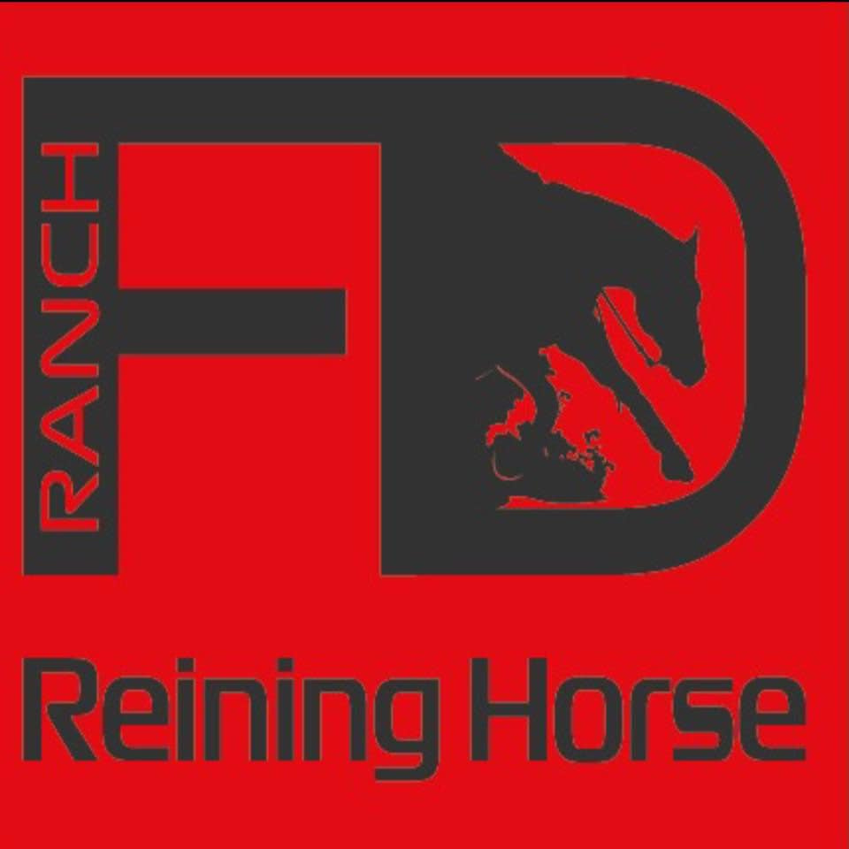 Reiningový QH valach - 4