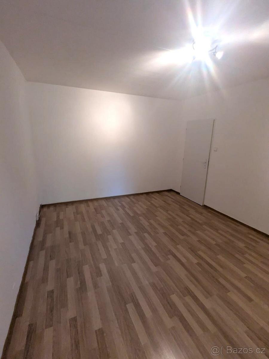 Pronájem bytu 1+1, Alšova 222, Bílina - 4