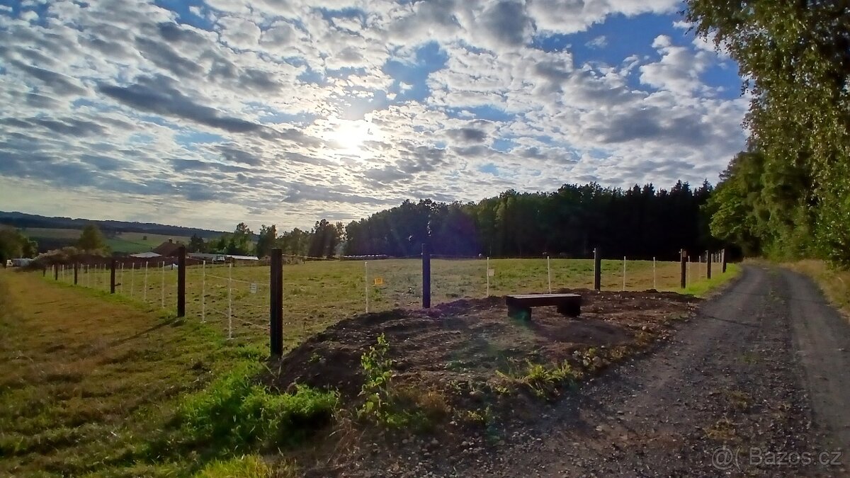 Ustájení koní - 4