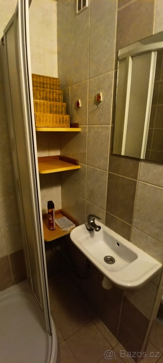 pronájem Sokolov, Spartakiadní,1+1 - 4