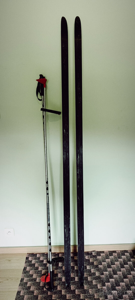 Prodám set běžky Rossignol Tour+ boty Fisher - 4