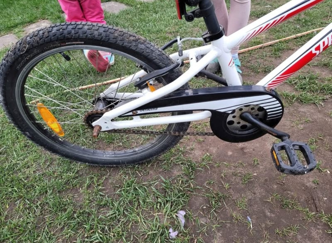 Kolo Specialized 20 - 4