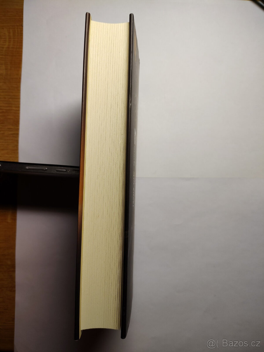 20. oběť (James Patterson, Maxine Paetro) - 4