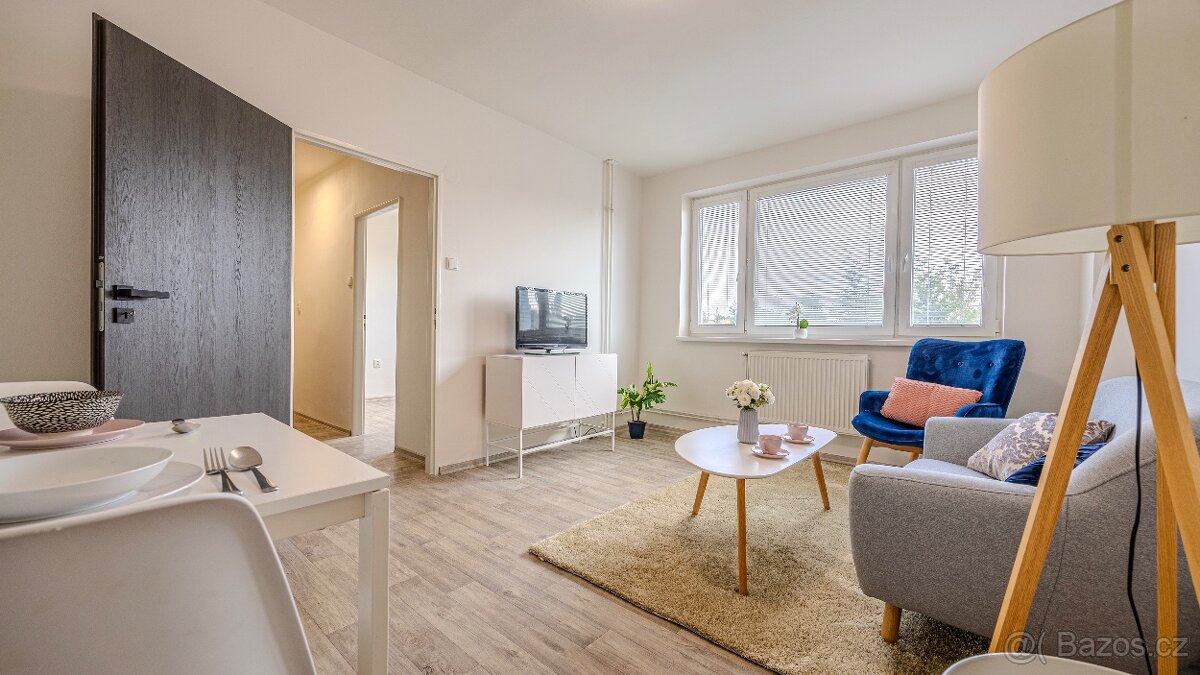 Prodám byt 1+1 s nájemníkem – Hodonín - 4