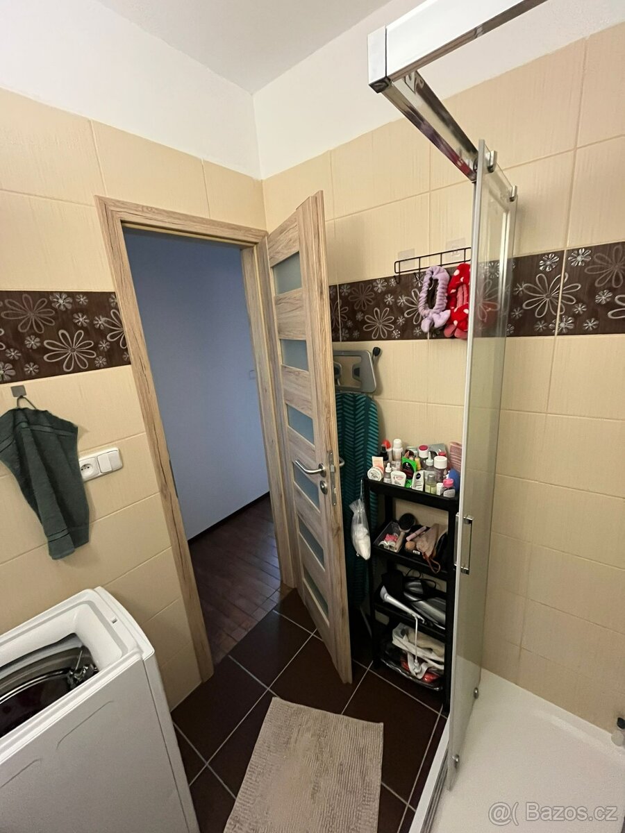 Pronajmu byt se zahradkou Libníč - 4