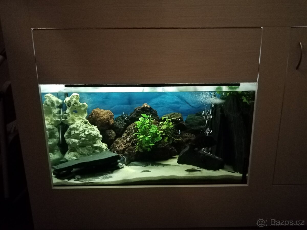 Prodám akvarijní stěnu - 4