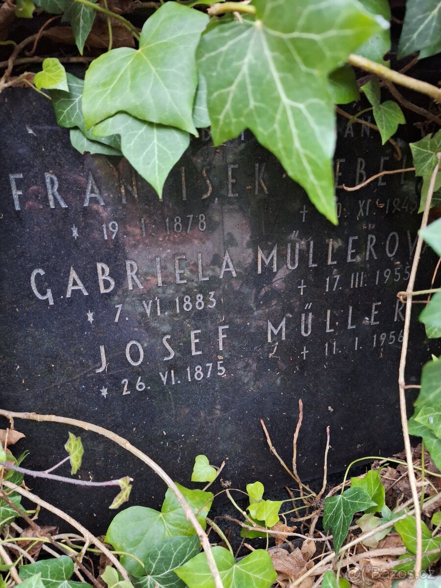 Prodej hrobky – Olšanské hřbitovy, Praha - 4