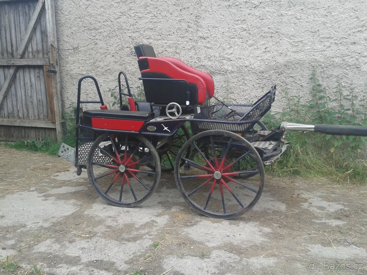 Maratoňák - koně, pár Kuhnle - 4