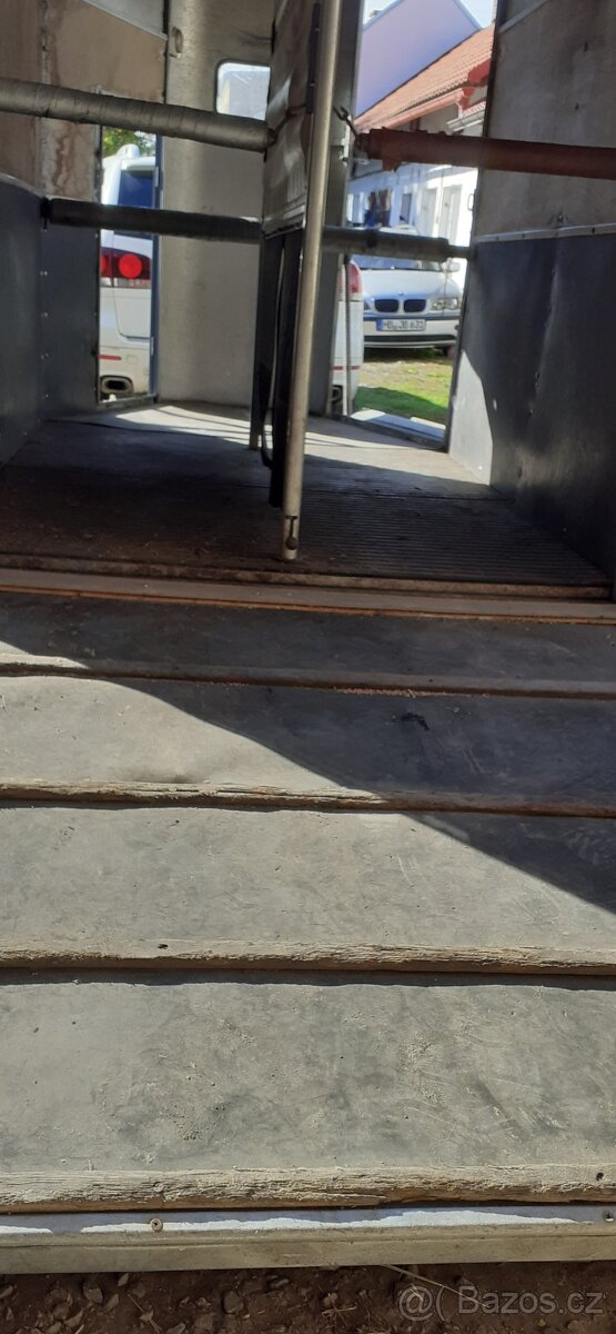 Přívěs na 2 koně IFOR WILLlAMS s přední rampou - 4