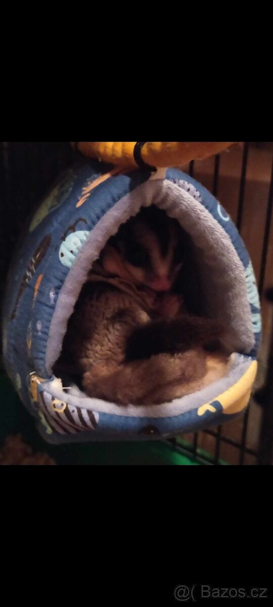 Vakoveverky + vybaveni - 4