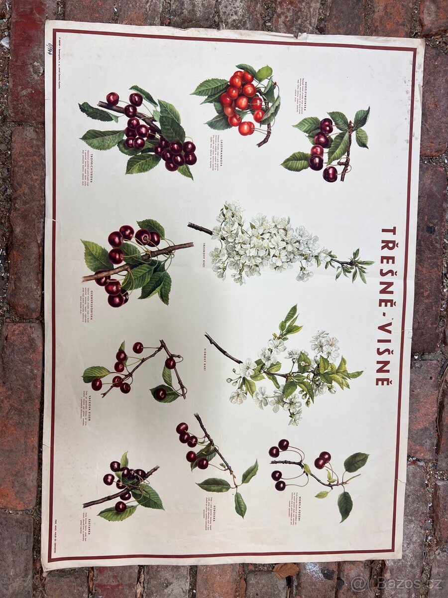 Školní plakáty 100 ks - 4