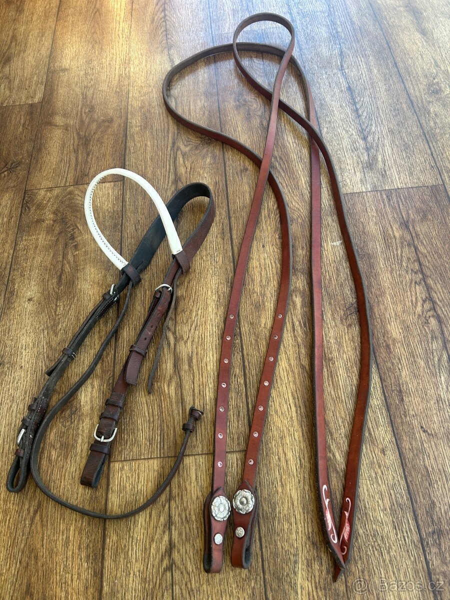 Parelka + vodítko 250cm - 4