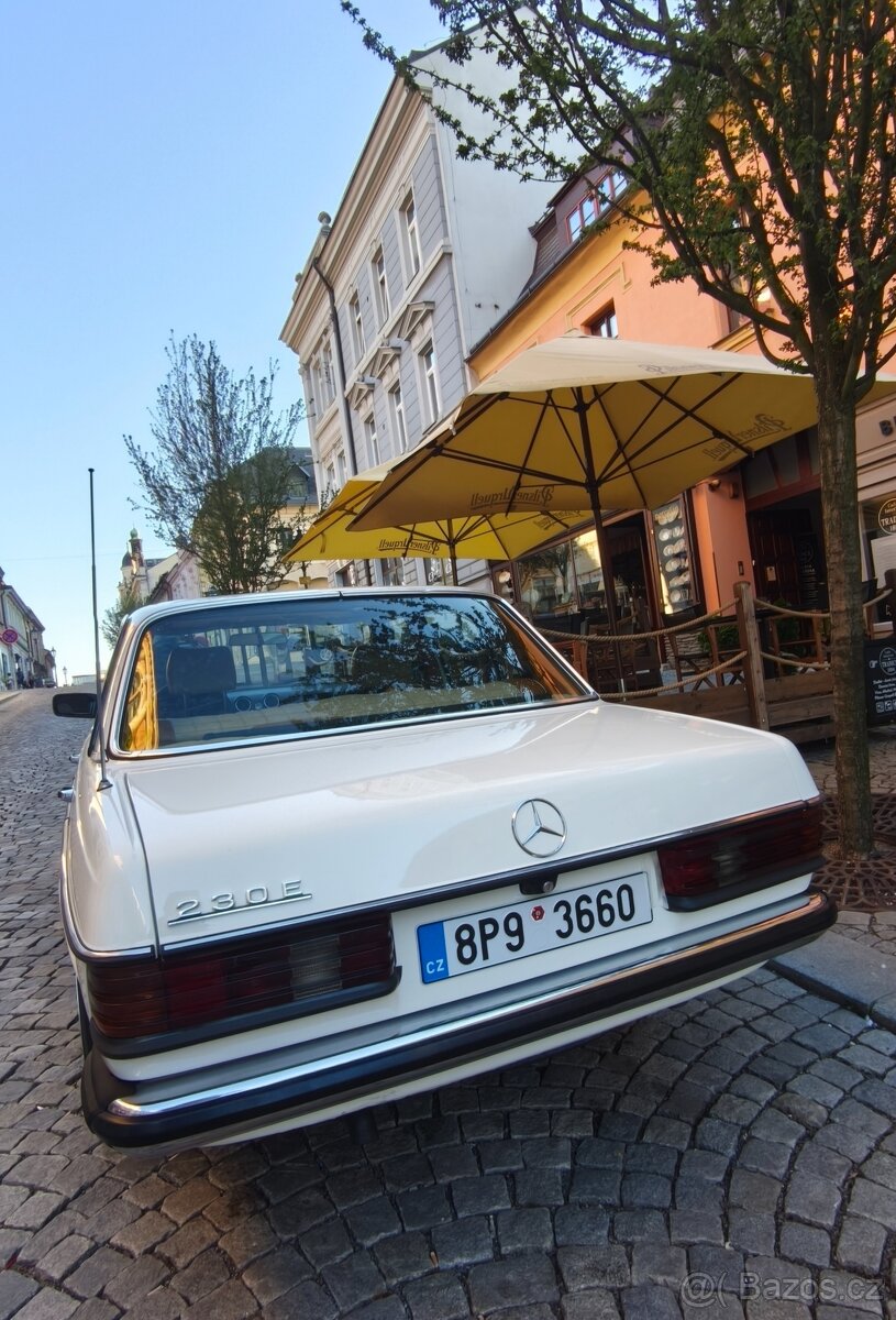 W123 230E Piano - 4