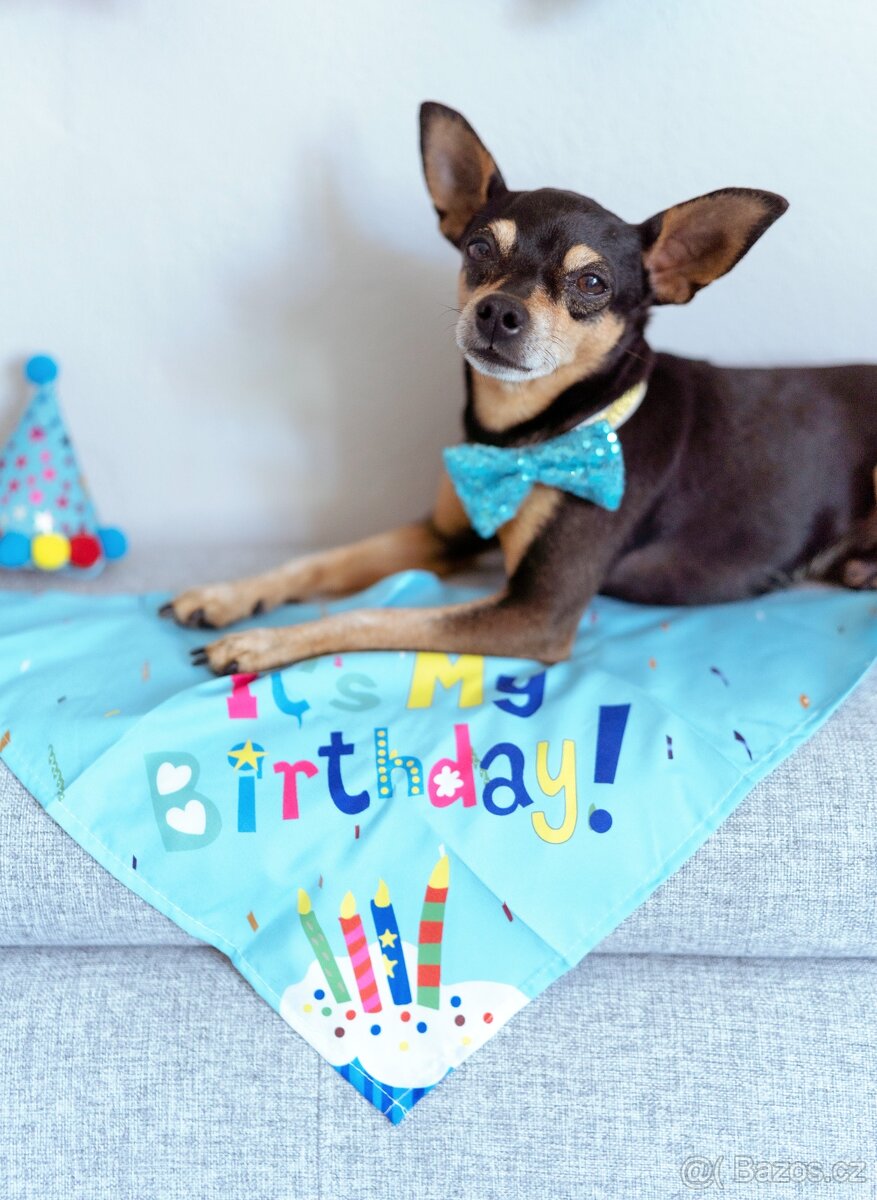 HLEDÁME NEVĚSTU - 4