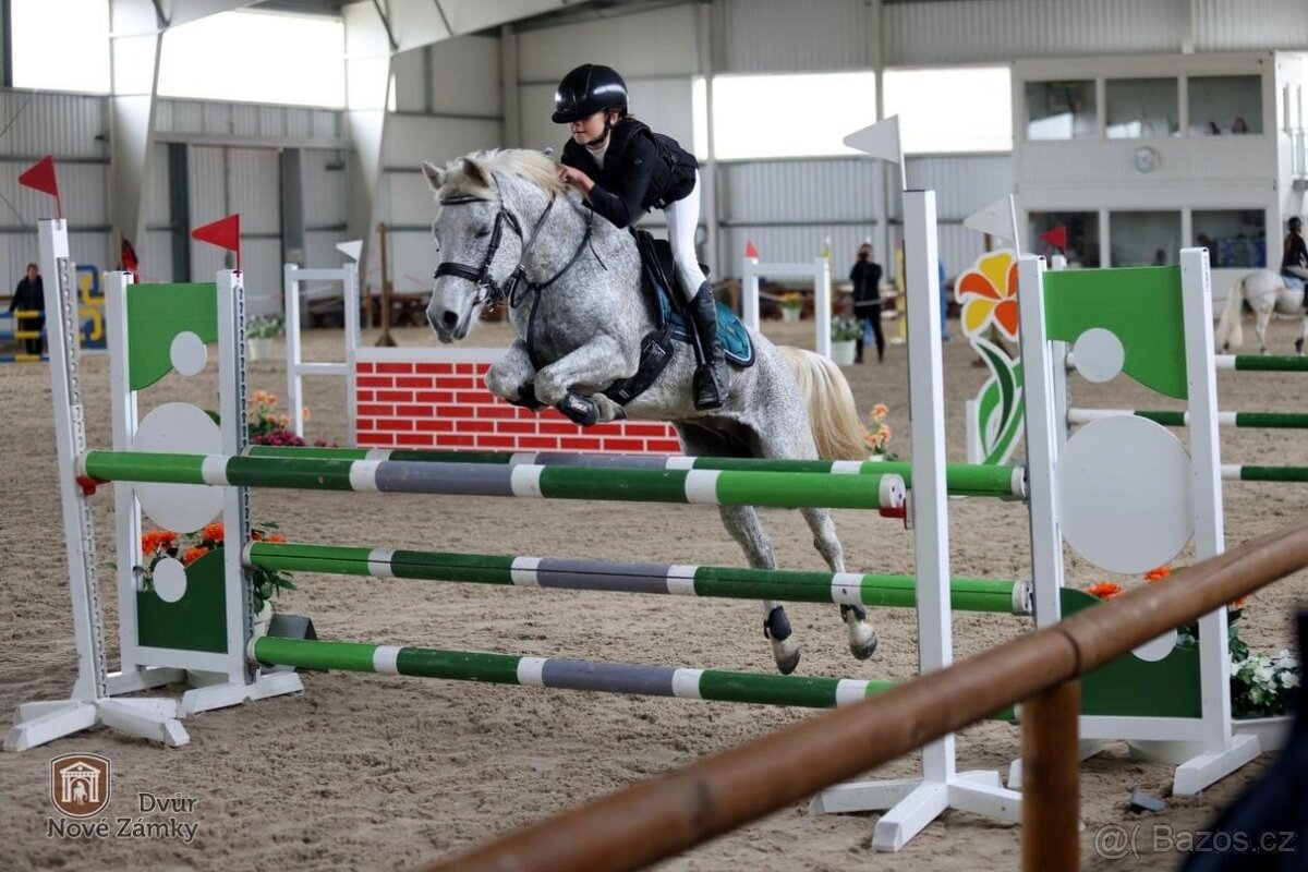 TOP pony klisna do sportu 132cm - 4