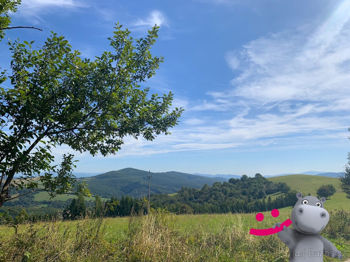 Prodej louky 5 517 m², Podkopná Lhota, ev.č. 58670 - 4