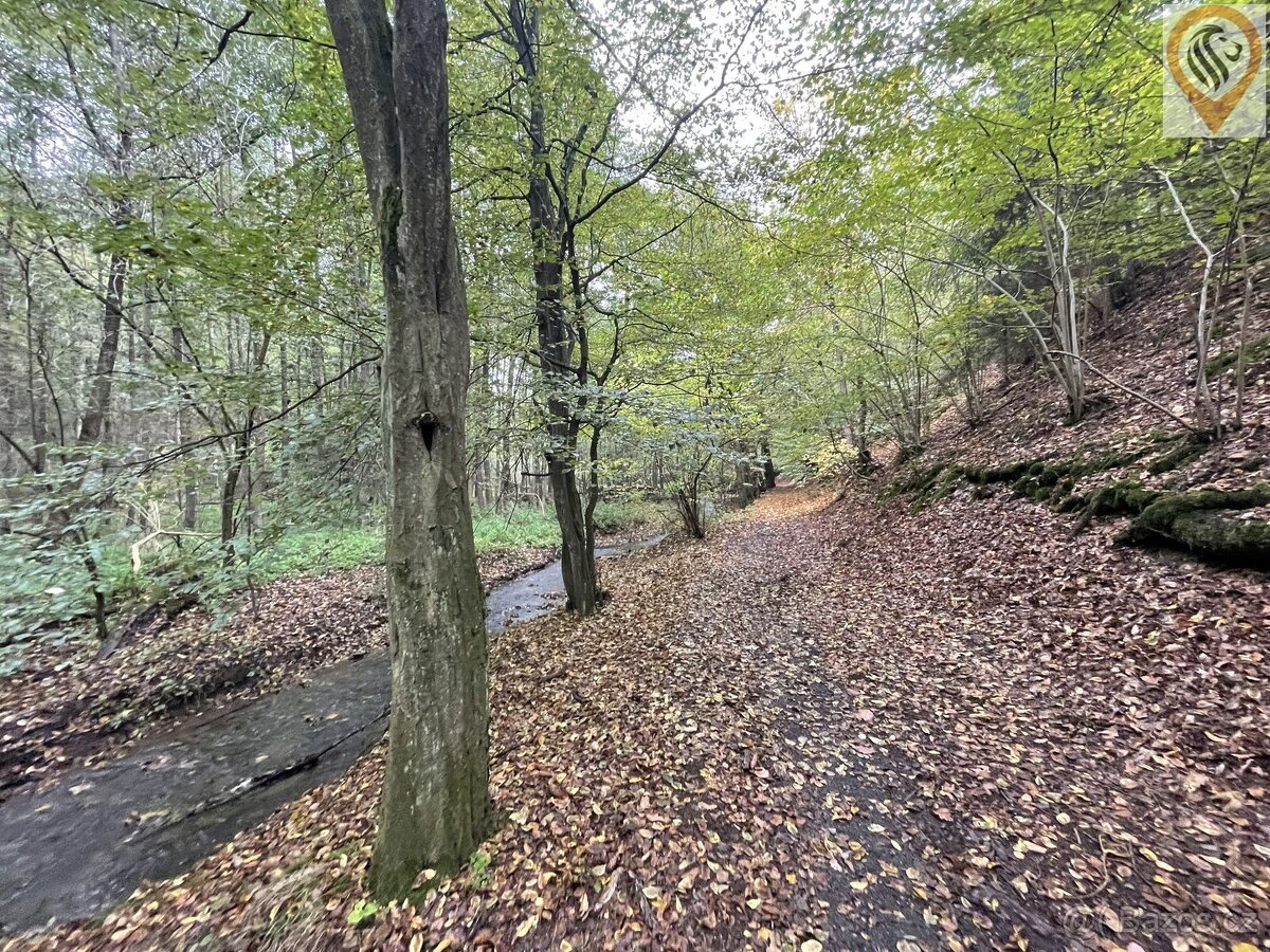 Prodej lesa o výměře 8 326m2 - 4