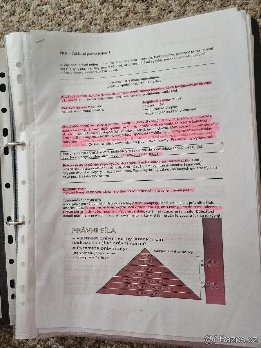 Maturitní otázky- právo - 4