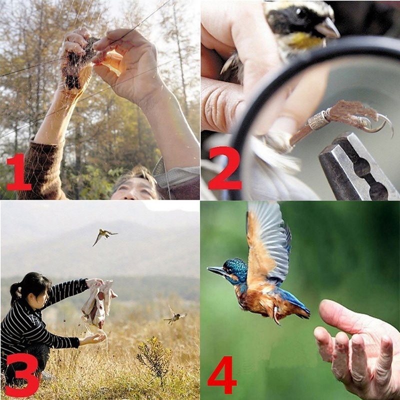 Nabízím síť na odchyt ptáků (rozměr 10x3 m) - 4