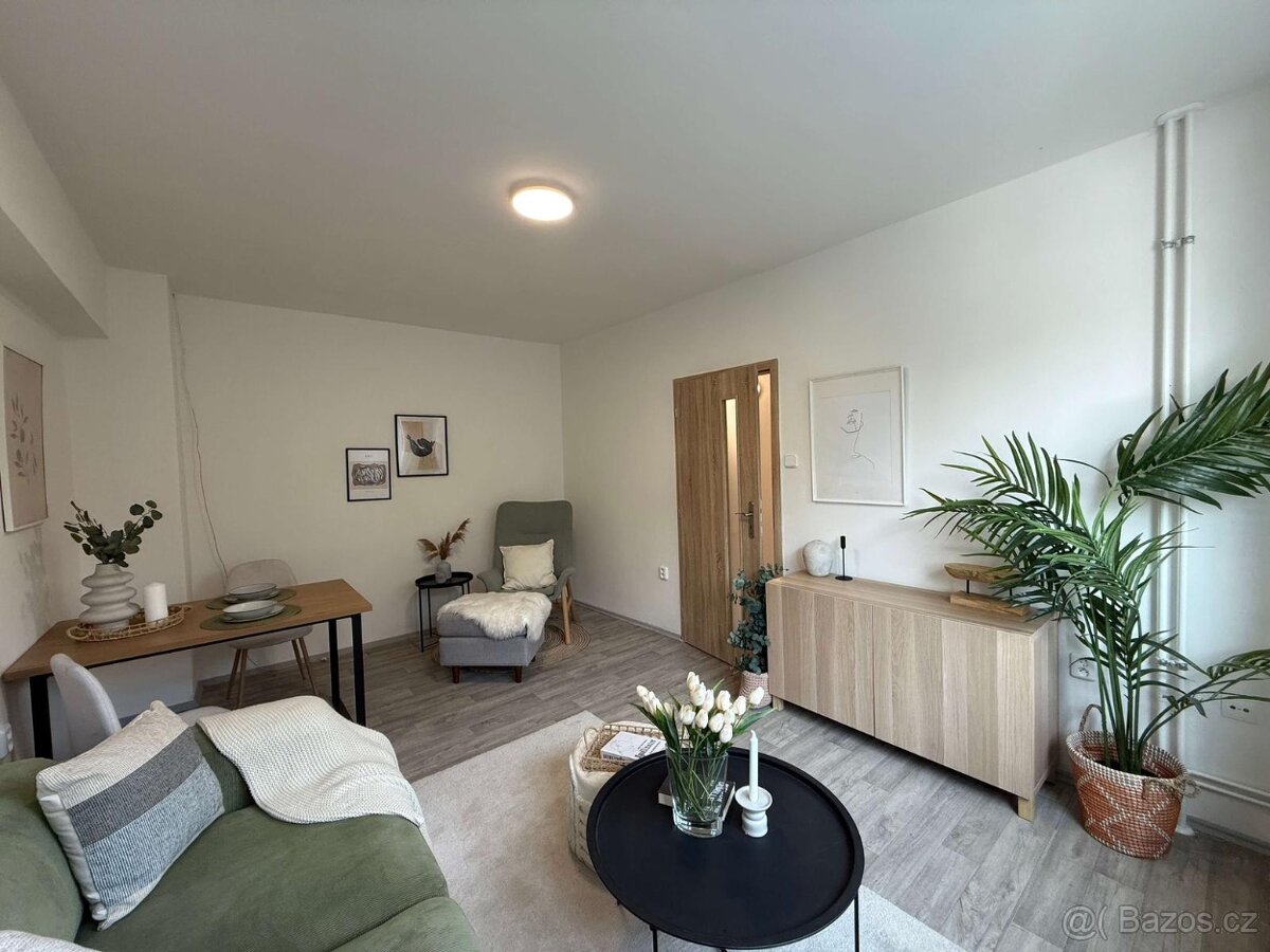 Prodej bytu 1+1 po rekonstrukci – Hodonín - 4