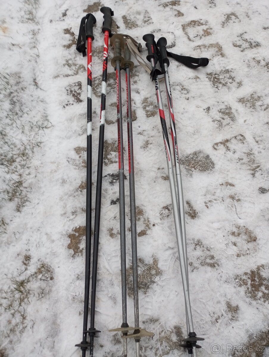 Prodam lyže sjezdove - 4