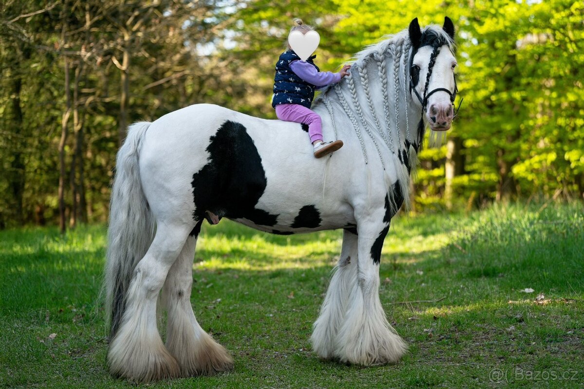 Hřebeček IC - roček - 4