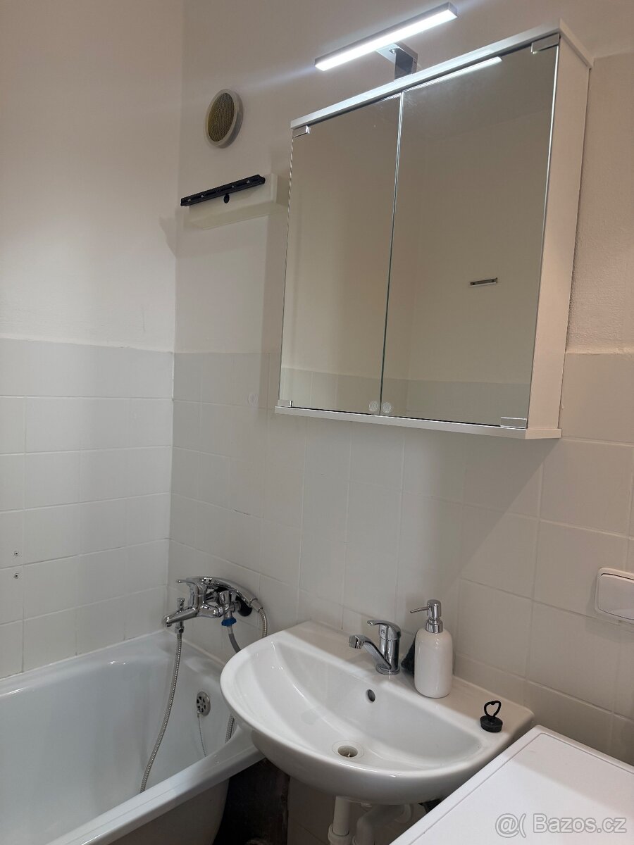 Pronájem bytu 1+kk, Brno- Nový Lískovec - 4