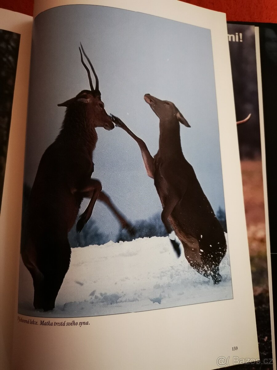 Kniha lovy s kamerou 161 listu - 4