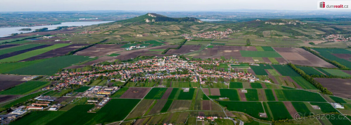 Prodej vinice v Dolních Dunajovicích, Zimní vrch - 4