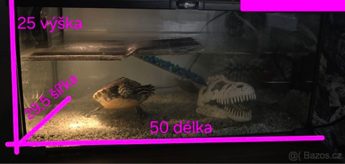 Terárium na prodej - 4