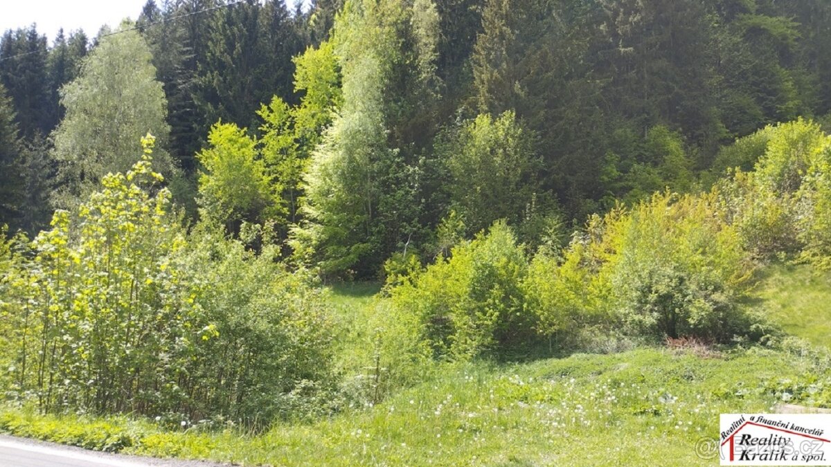 Pozemek k využití na bydlení nebo rekreaci, město Tanvald - 4