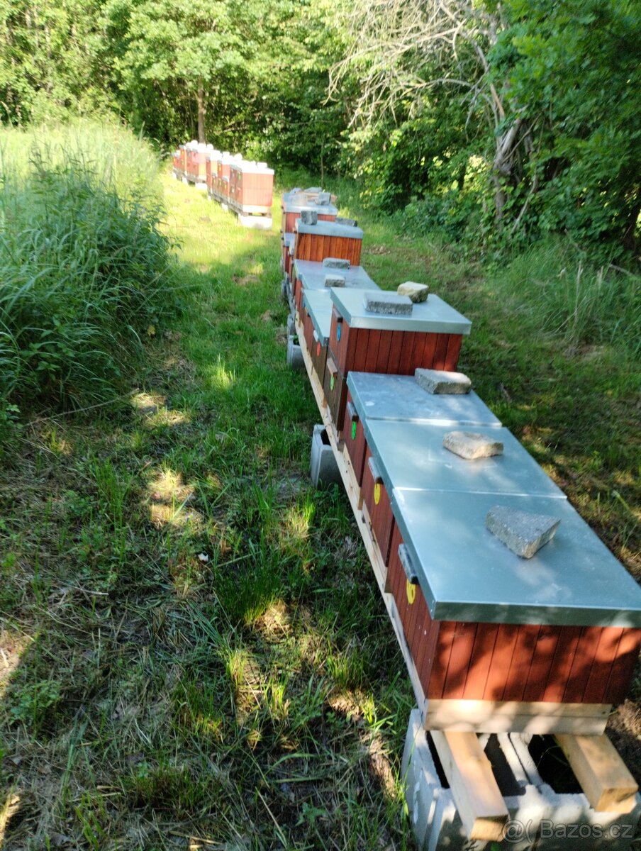 Vyzimované oddělky - 4